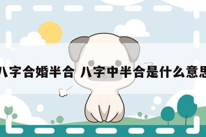 八字合婚半合 八字中半合是什么意思