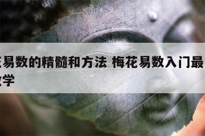 梅花易数的精髓和方法 梅花易数入门最完整的教学