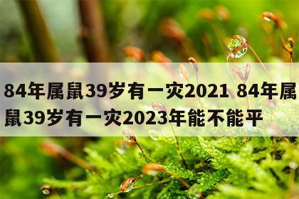 84年属鼠39岁有一灾2021 84年属鼠39岁有一灾2023年能不能平