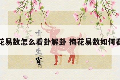 梅花易数怎么看卦解卦 梅花易数如何看卦