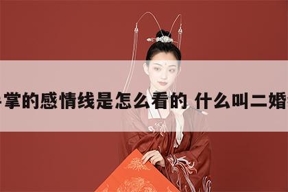 手掌的感情线是怎么看的 什么叫二婚线