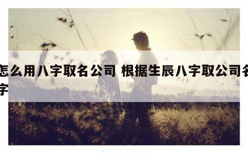 怎么用八字取名公司 根据生辰八字取公司名字