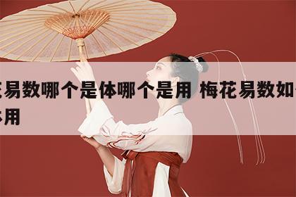 梅花易数哪个是体哪个是用 梅花易数如何区分体用