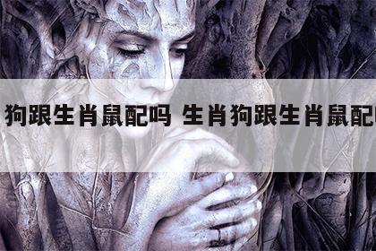 生肖狗跟生肖鼠配吗 生肖狗跟生肖鼠配吗好吗