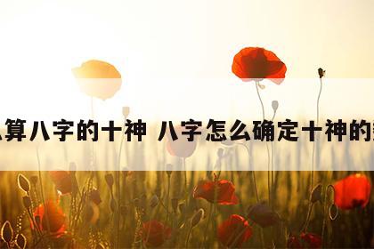 怎么算八字的十神 八字怎么确定十神的数量