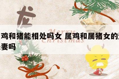 生肖鸡和猪能相处吗女 属鸡和属猪女的适合做夫妻吗