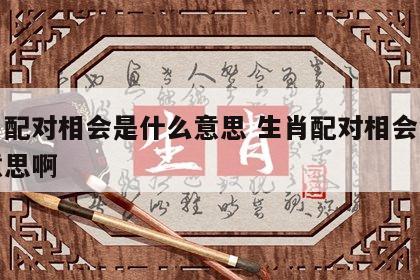 生肖配对相会是什么意思 生肖配对相会是什么意思啊