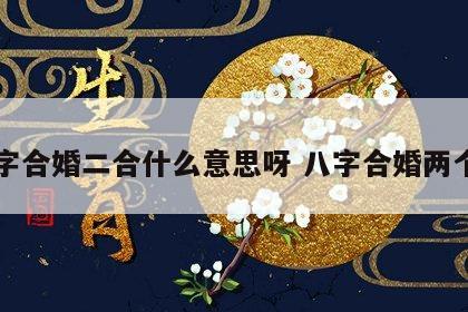 八字合婚二合什么意思呀 八字合婚两个字
