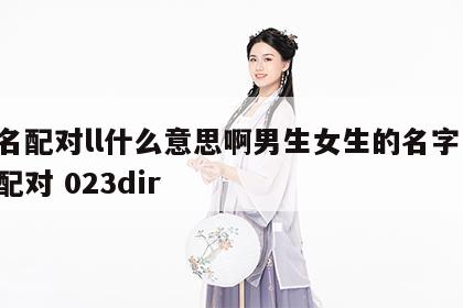 姓名配对ll什么意思啊男生女生的名字 姓名配对 023dir