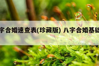 八字合婚速查表(珍藏版) 八字合婚基础知识