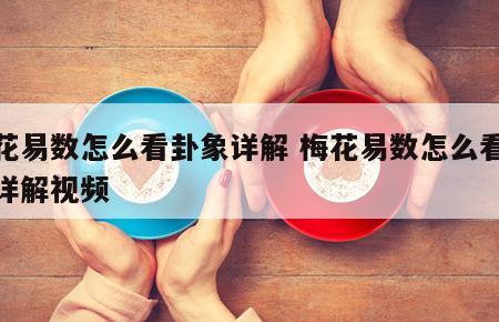 梅花易数怎么看卦象详解 梅花易数怎么看卦象详解视频