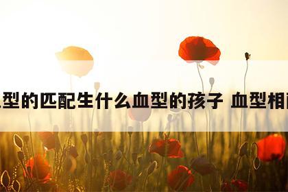 血型的匹配生什么血型的孩子 血型相配