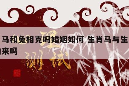 生肖马和兔相克吗婚姻如何 生肖马与生肖兔和的来吗