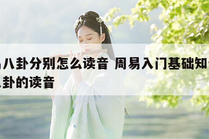 周易八卦分别怎么读音 周易入门基础知识详细八卦的读音