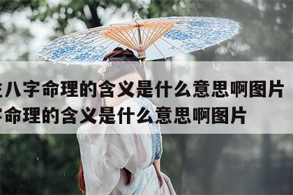 四柱八字命理的含义是什么意思啊图片 四柱八字命理的含义是什么意思啊图片