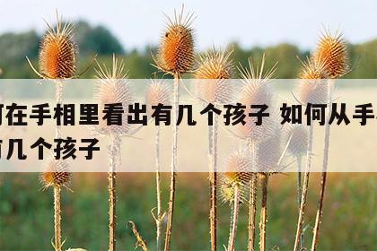 如何在手相里看出有几个孩子 如何从手相看出有几个孩子