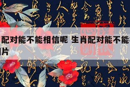 生肖配对能不能相信呢 生肖配对能不能相信呢图片