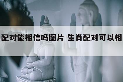 生肖配对能相信吗图片 生肖配对可以相信么啊?