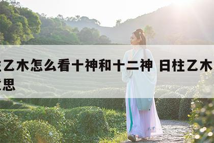 日柱乙木怎么看十神和十二神 日柱乙木是什么意思