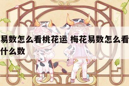 梅花易数怎么看桃花运 梅花易数怎么看桃花运用什么数