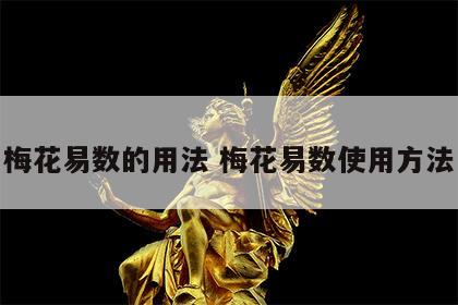 梅花易数的用法 梅花易数使用方法