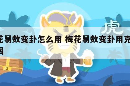 梅花易数变卦怎么用 梅花易数变卦用克体 婚姻