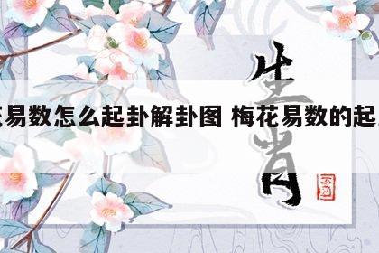 梅花易数怎么起卦解卦图 梅花易数的起卦方法