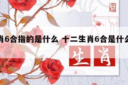 生肖6合指的是什么 十二生肖6合是什么意思
