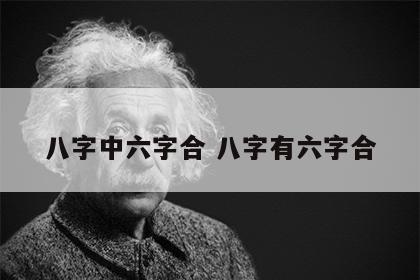 八字中六字合 八字有六字合