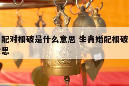 生肖配对相破是什么意思 生肖婚配相破是什么意思