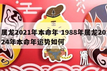 属龙2021年本命年 1988年属龙2024年本命年运势如何