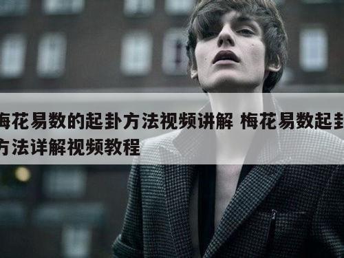 梅花易数的起卦方法视频讲解 梅花易数起卦方法详解视频教程