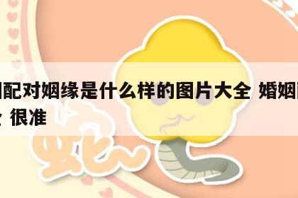 婚姻配对姻缘是什么样的图片大全 婚姻配对大全 很准