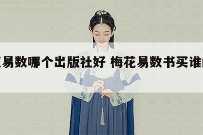 梅花易数哪个出版社好 梅花易数书买谁的版本