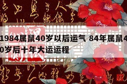 1984属鼠40岁以后运气 84年属鼠40岁后十年大运运程