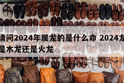 请问2024年属龙的是什么命 2024龙是木龙还是火龙