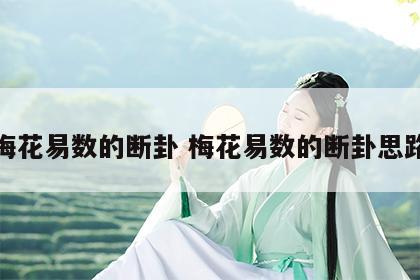 梅花易数的断卦 梅花易数的断卦思路