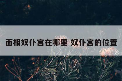 面相奴仆宫在哪里 奴仆宫的位置