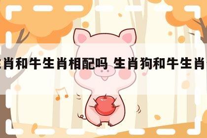 狗生肖和牛生肖相配吗 生肖狗和牛生肖合不合