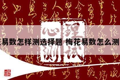 梅花易数怎样测选择题 梅花易数怎么测来意