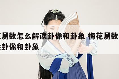 梅花易数怎么解读卦像和卦象 梅花易数怎么解读卦像和卦象