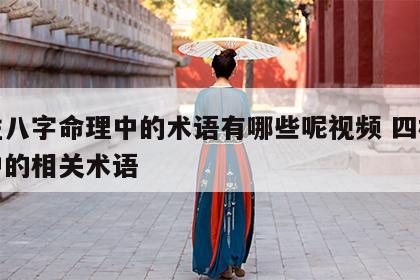 四柱八字命理中的术语有哪些呢视频 四柱八字中的相关术语