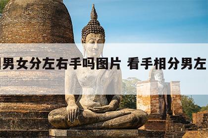 手相男女分左右手吗图片 看手相分男左女右吗?