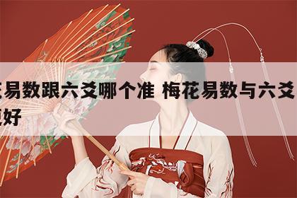 梅花易数跟六爻哪个准 梅花易数与六爻断法谁更好