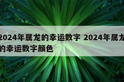 2024年属龙的幸运数字 2024年属龙的幸运数字颜色
