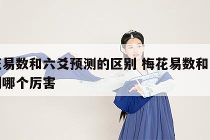 梅花易数和六爻预测的区别 梅花易数和六爻预测哪个厉害