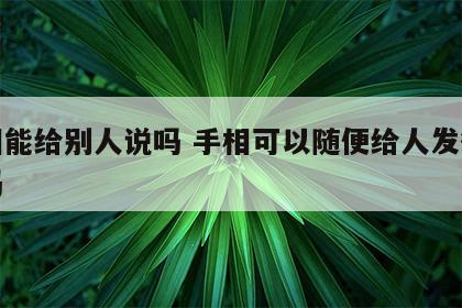 手相能给别人说吗 手相可以随便给人发微信看吗
