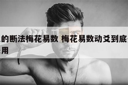 动爻的断法梅花易数 梅花易数动爻到底是体还是用