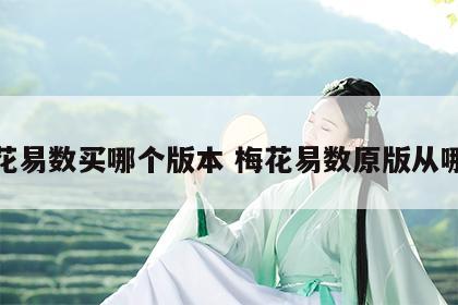 梅花易数买哪个版本 梅花易数原版从哪买