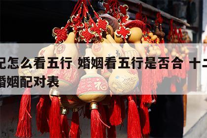 婚配怎么看五行 婚姻看五行是否合 十二生肖婚姻配对表